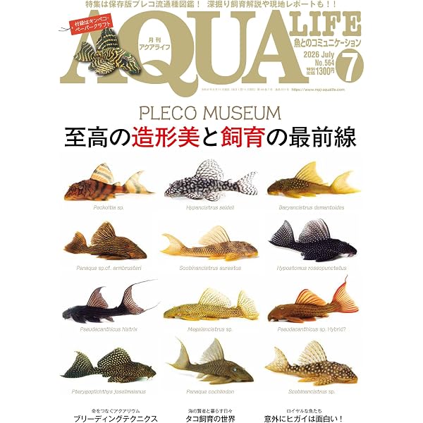 月刊アクアライフ 2026年 08 月号 やっぱり、デカい魚が好きだから
