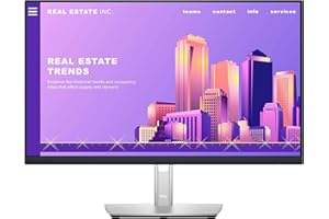 【整備済み品】デル Dell P2422H 23.8インチ プロフェッショナルシリーズ/HDMI対応/フルHD 1920x1080/IPS非光沢/HDMI、VGA、DisplayPort/USB3.2高速ハブ/縦横回転,高さ調整/PS· Switch対応 (整備済み品)