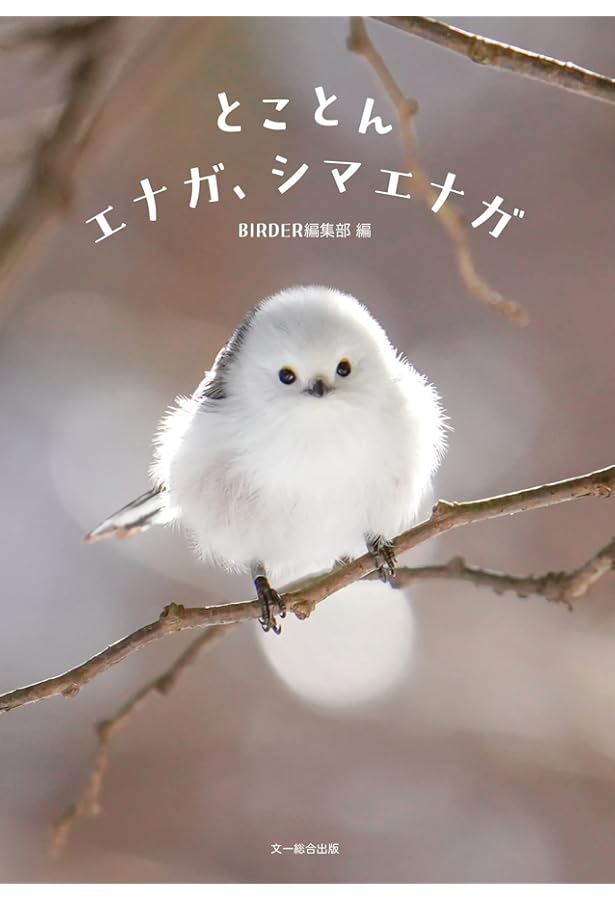 シマエナガちゃんの日々 - ぼくはここにいるよ - (ワニプラス) | 小原