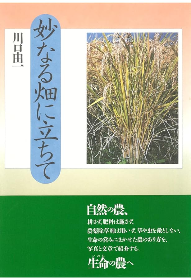 Amazon.co.jp: 叢書 古方漢方の世界 傷寒論を読む : 川口 由一: 本