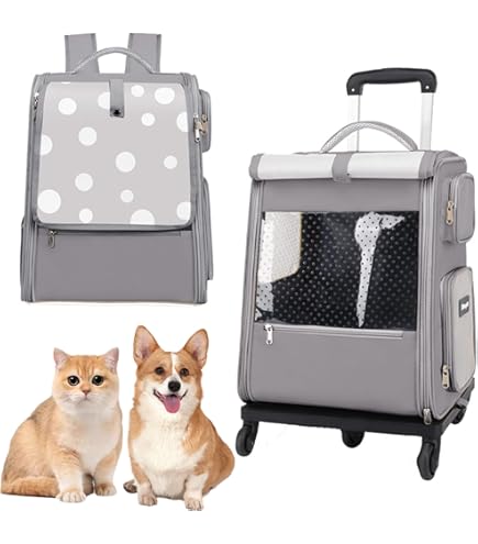Amazon.co.jp: CoConte cat リュックサックキャリー オレンジ : ペット用品
