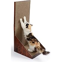 一閑張り（猫） バリバリボウルXL オーバル ダークブラウン猫工学デザインだから