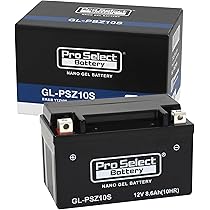 Amazon | ProSelect(プロセレクト) バイク GL-PSZ10S ナノ・ジェル