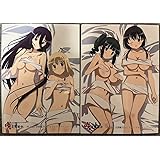 咲Saki 全国編Plus ビジュアルファンブック 上巻中巻収納BOX SR4GW1IZ