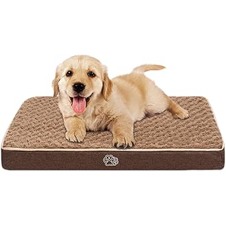 dog mat amazon