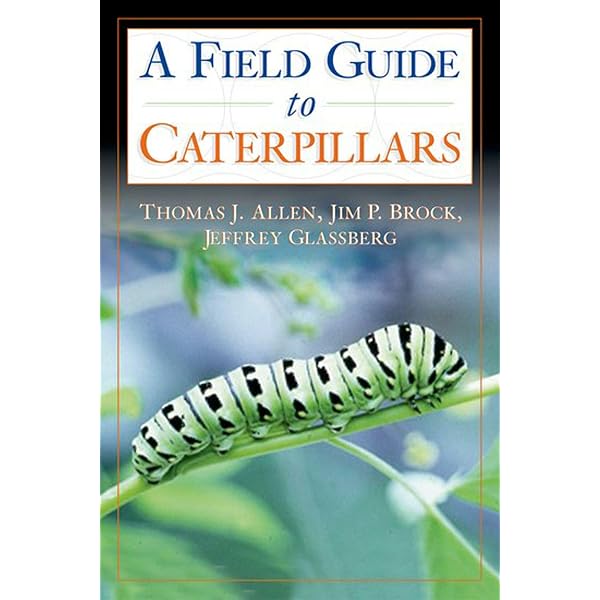 The Book of Caterpillars: A life-size guide to six hundred species