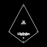 THE JSB WORLD(AL3枚組+DVD2枚組)