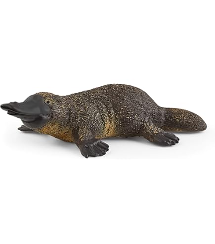 Amazon.co.jp: フィギュア MOJO ANIMALPLANET アニマルプラネット