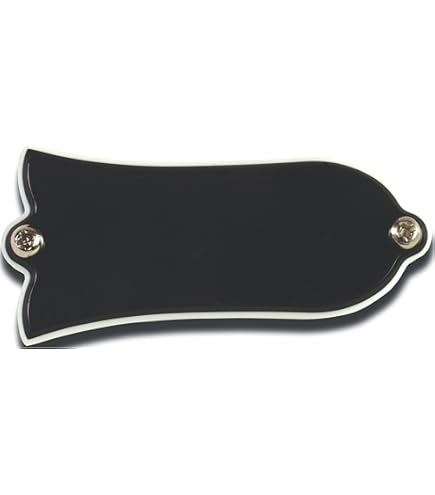 Amazon | Gibson PRTR-030 Truss Rod Cover Les Paul Standard