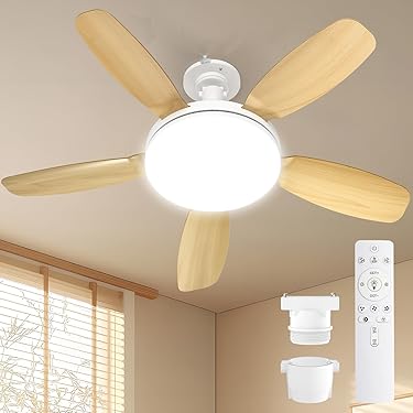 Amazon.co.jp 人気ギフトランキング: シーリングファンライト で