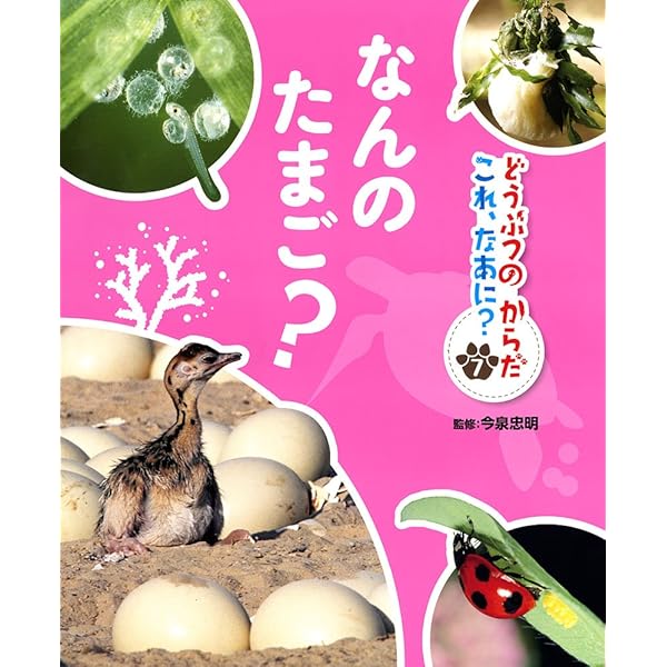 どうぶつのからだ　これ、なあに？ 　絵本　動物 図鑑　5冊セット どうぶつのからだ これ、なあに？ 絵本 動物 図鑑 5冊セット