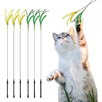 ねこじゃらし  Amazon | (SixMeow)猫じゃらし、猫おもちゃ、猫のお遊びススキ草