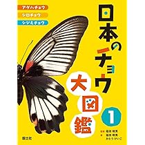 716CtHYGzqL._AC_UL210_SR210,