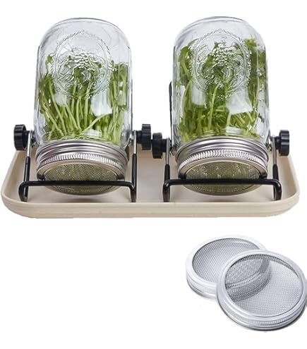 itto☹　発芽美人 HP-70 ピンク itto☹様専用 発芽美人 HP-70 ピンク