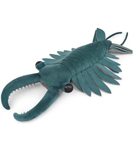 Amazon.co.jp: 古代生物シリーズ アノマロカリス ぬいぐるみL