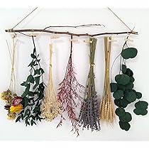 ドライフラワー 壁掛け用葉デザイン はっぱ丸　人気キャラクター ドライフラワー 壁掛け用葉デザイン はっぱ丸 人気キャラクター