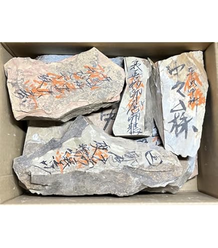 Amazon | 天然砥石 山城銘砥 原石 奥殿 中山 大突 菖蒲谷 等 右京区梅