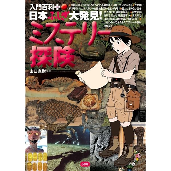 2,500冊以上のミステリーを紹介・評価したガイドブック Amazon.co.jp: 世界ミステリーFILE(ファイル): 衝撃!驚き!大発見