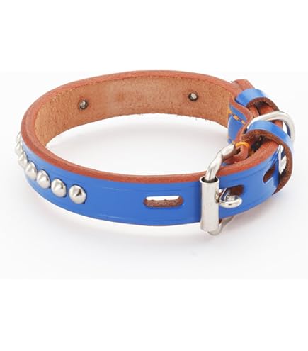 犬用首輪　グランデダブルステッチカラー Lサイズ　大型犬　新品 グランデ ダブルステッチカラー L レッド | ペティオ オンライン