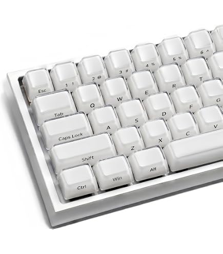 Amazon.co.jp: アークナイツ：エンドフィールド ザイヒ キーキャップ