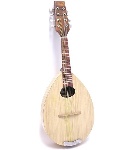 Amazon | 鈴木 マンドリン M-30 | マンドリン | 楽器・音響機器