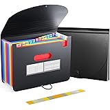 Homdolaser ドキュメントスタンド A4 ドキュメントファイル 13ポケット アコーディオンファイル 書類収納ケース 色別ファイリング 区分けラベル付き ファイルポケット 大容量 伸縮ファイル 蓋付き 自立式 書類収納 12仕切り