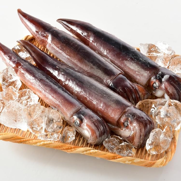 Amazon.co.jp: スルメイカ（真烏賊）20尾位で4kg 大サイズ : 食品
