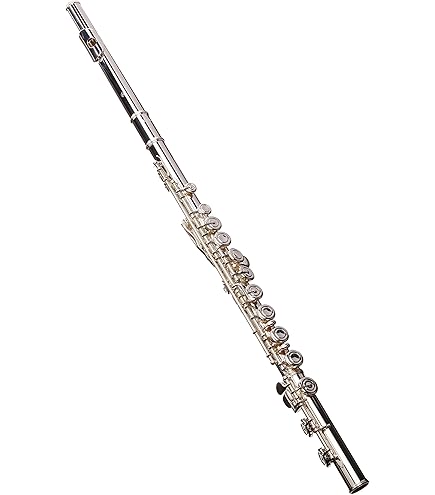 Amazon | Armstrong Model 104 USA Student Flute Standard | フルート