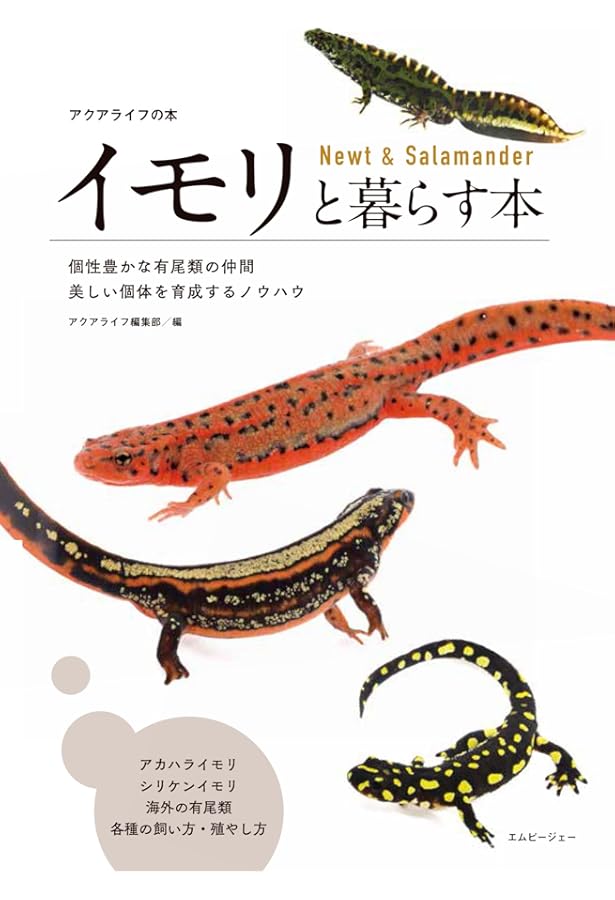 シャックシリーズ　イモリ イモリとオオサンショウウオ ボールチェーン＆マグネット – ネイチャー
