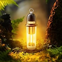 716XpEJNLVL._AC_UL210_SR210,