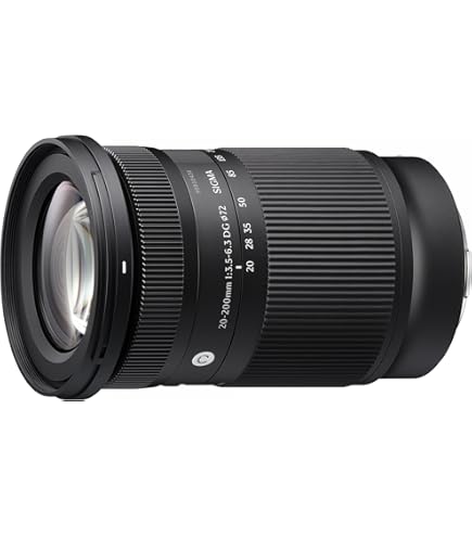 Amazon.co.jp: Sigma APO 70-200mm F2.8 EX DG OS HSM : Electronics