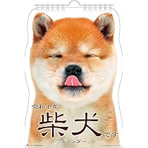 716bJO1a5RL._AC_UL210_SR210,