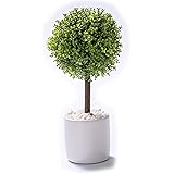 日本インソール工業 インテリアグリーン 観葉植物 フェイク ミニ 人工 造花 白 鉢付き 光触媒 消臭 除菌 日本製 おしゃれ トピアリーボール (円満の木) 高さ25cm×直径12cm(花器サイズ直径8cm)