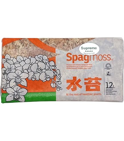 Amazon | KeepRise ジャパン蘭土 水苔 250g AAAAA (5A