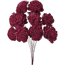 【400本】ソーラーローズ (大6cm)大地農園※新品未使用品(茎カットのみ) 400本】ソーラーローズ (大6cm)大地農園※新品未使用品(茎カット