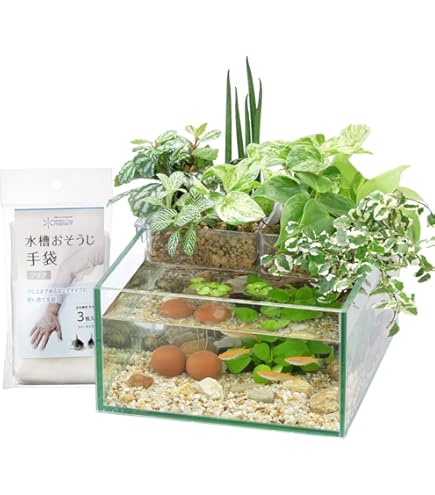 水槽　コトブキ レグラスポニックス 600 Amazon | 寿工芸 レグラスポニックス 600セット | Kotobuki | 水槽 通販