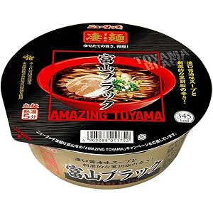 ニュータッチ 凄麺 富山ブラック 119g×12個