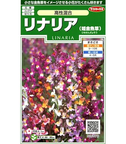 Amazon.co.jp: タガタメ 誰ガ為のアルケミスト 小説 十戒衆アルゾシュ
