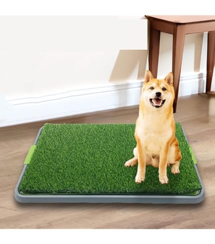 Amazon | ペット犬トイレのおしっこの芝生の芝生、引き出しと