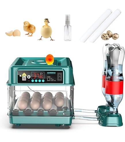 全自動孵卵器　HKDQ　インキュベーター　自動ローリング　ひよこ　うずら Amazon | 自動孵卵器 インキュベーター 恒温器 鳥類専用ふ卵器 孵化器