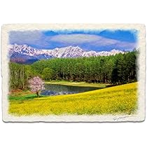 Amazon.co.jp: 風水 絵 絵画 玄関 インテリア アートパネル 風景