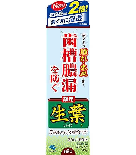 Amazon | 生葉EX 100g x6個セット | 小林製薬 | 大人用ハミガキ粉