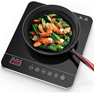 induction cooktop on amazon