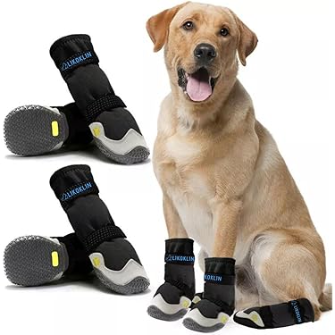 Amazon.co.jp ほしい物ランキング: 犬用ブーツ で、ほしい物