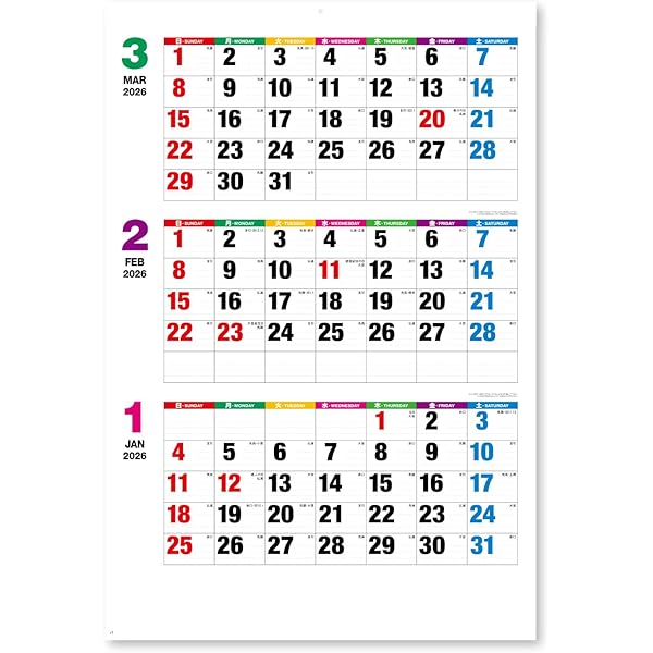 Amazon.co.jp: トーダン 2026年 カレンダー 壁掛け カラー3ヶ月メモ