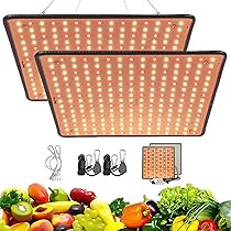 716urocXg1L._AC_UL210_SR210,