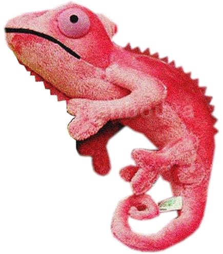 Amazon.co.jp: ティーエスティーアドバンス カメレオンのレオくん 6294