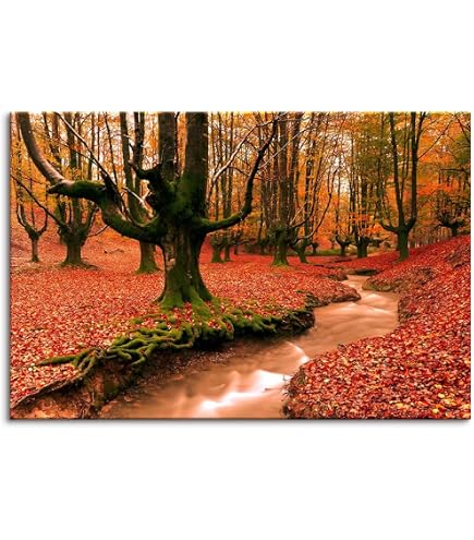 Amazon.co.jp: 滝 絵画 紅葉 自然 風景 ポスター 秋色 川 山 日光 風景
