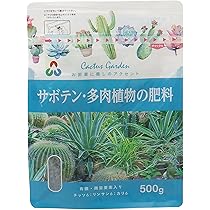 Amazon.co.jp: アエオニウム サンバースト綴化 多肉植物 苗