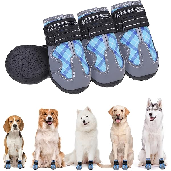 Water shoes for large dogs Clearance